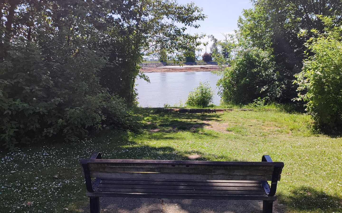 Burnaby Fraser Foreshore Park 散歩記